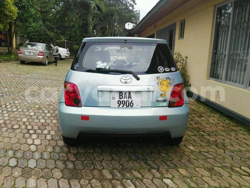 Big with watermark 15590123 1873629849587474 5620022596992670559 n