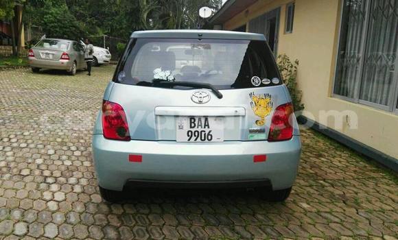 Buy Used Toyota IST Other Car in Chipata in Zambia Buy Used Toyota IST Other Car in Chipata in Zambia