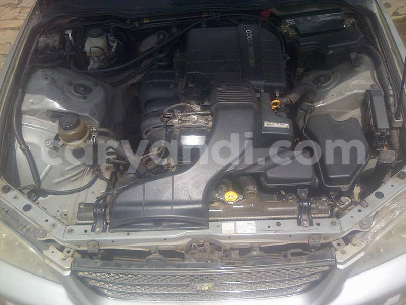 Big with watermark 15590123 1873629849587474 5620022596992670559 n