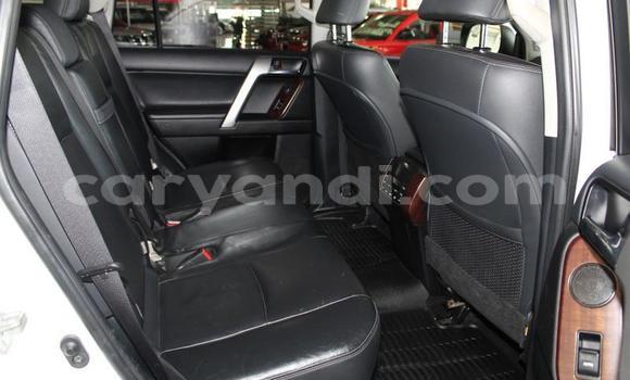 Acheter Occasion Voiture Toyota Prado Blanc à Chingola, Zambie Acheter Occasion Voiture Toyota Prado Blanc à Chingola, Zambie