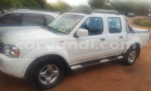 Buy Used Nissan Hardbody White Car in Chipata in Zambia Buy Used Nissan Hardbody White Car in Chipata in Zambia