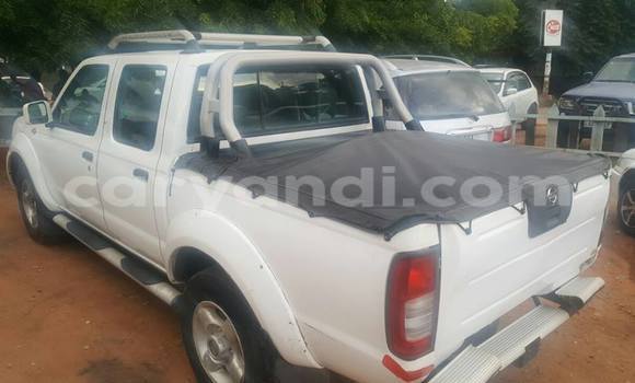 Buy Used Nissan Hardbody White Car in Chipata in Zambia Buy Used Nissan Hardbody White Car in Chipata in Zambia