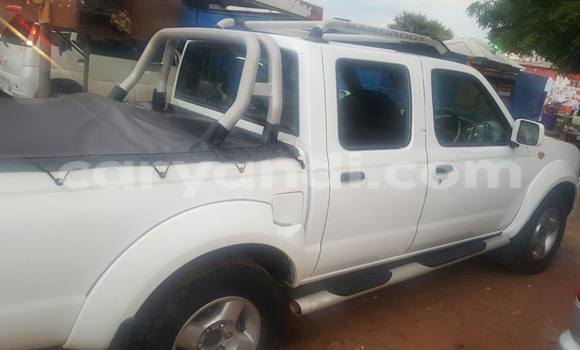 Buy Used Nissan Hardbody White Car in Chipata in Zambia Buy Used Nissan Hardbody White Car in Chipata in Zambia