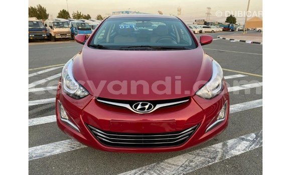 Buy Import Hyundai Elantra Red Car in Import - Dubai in Zambia Buy Import Hyundai Elantra Red Car in Import - Dubai in Zambia