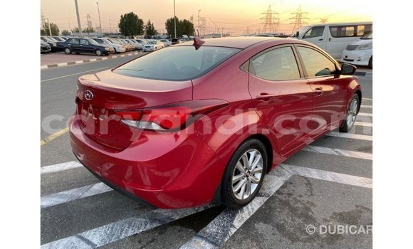 Buy Import Hyundai Elantra Red Car in Import - Dubai in Zambia Buy Import Hyundai Elantra Red Car in Import - Dubai in Zambia
