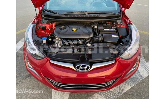 Buy Import Hyundai Elantra Red Car in Import - Dubai in Zambia Buy Import Hyundai Elantra Red Car in Import - Dubai in Zambia