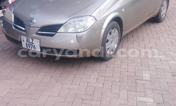 Tenga Tsaru Nissan Primera Zvimwe Mota in Chipata in Zambia Tenga Tsaru Nissan Primera Zvimwe Mota in Chipata in Zambia