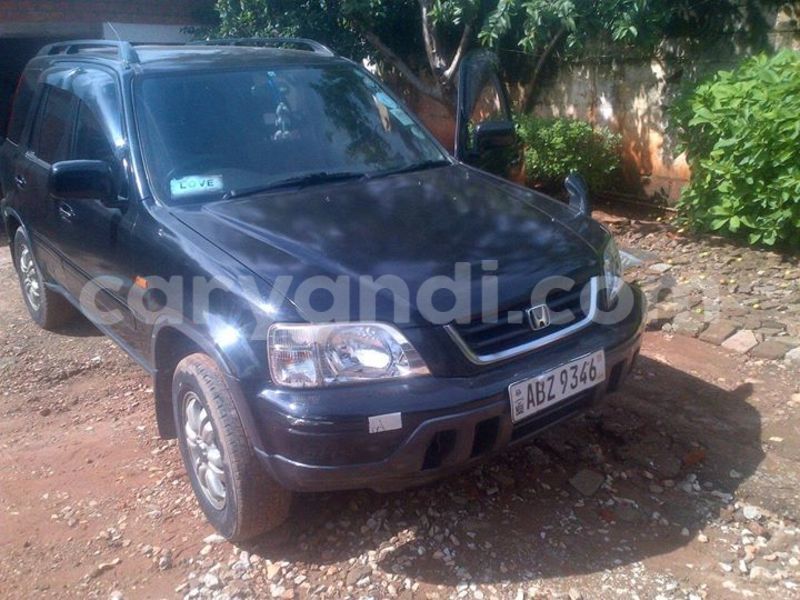 Big with watermark 16684261 1284056601632011 8943575257685139748 n