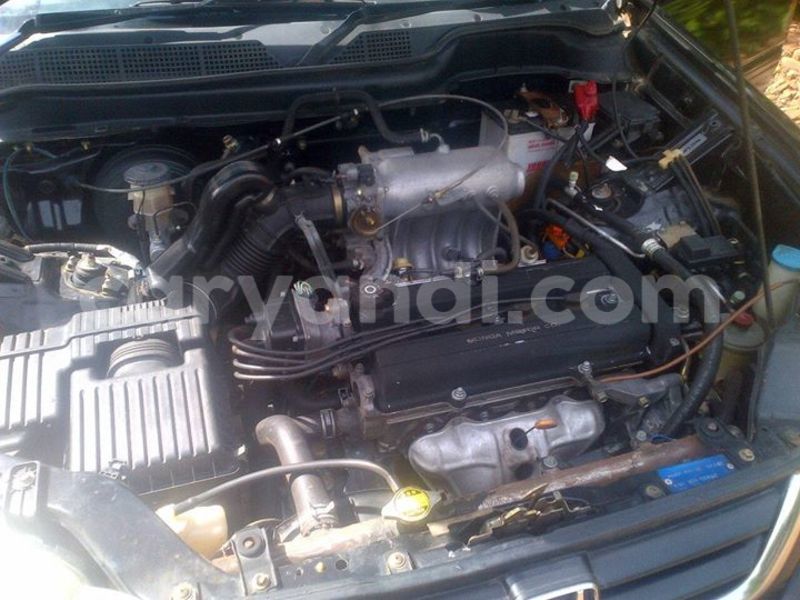 Big with watermark 16712011 1158145860969845 2370005447690403421 n