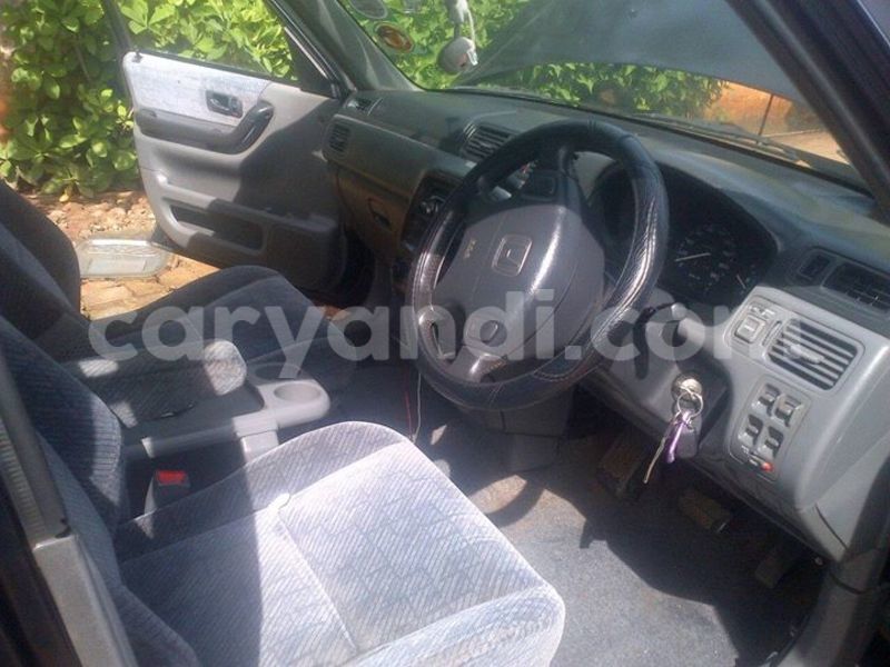 Big with watermark 16729479 216811802118464 8004625800169136656 n