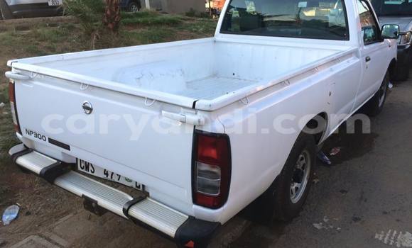 Tenga Tsaru Nissan Navara Chena Mota in Chingola in Zambia Tenga Tsaru Nissan Navara Chena Mota in Chingola in Zambia