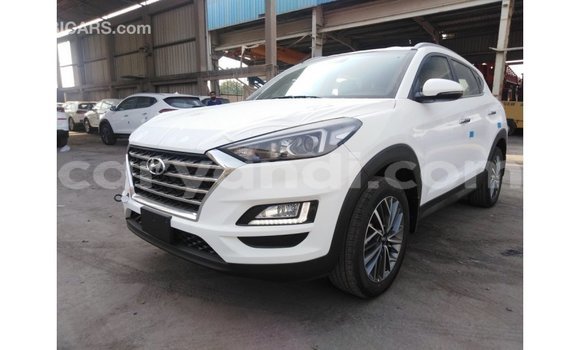 Buy Import Hyundai Tucson White Car in Import - Dubai in Zambia Buy Import Hyundai Tucson White Car in Import - Dubai in Zambia