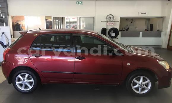 Nunua Ilio tumika Toyota Runx Nyekundu Gari ndani ya Chingola nchini Zambia Nunua Ilio tumika Toyota Runx Nyekundu Gari ndani ya Chingola nchini Zambia