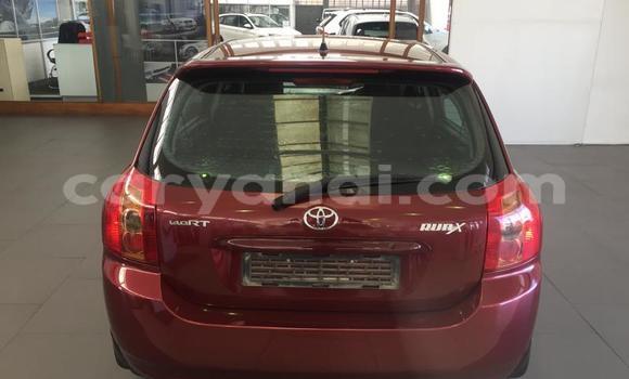 Nunua Ilio tumika Toyota Runx Nyekundu Gari ndani ya Chingola nchini Zambia Nunua Ilio tumika Toyota Runx Nyekundu Gari ndani ya Chingola nchini Zambia