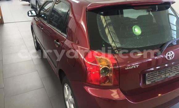 Nunua Ilio tumika Toyota Runx Nyekundu Gari ndani ya Chingola nchini Zambia Nunua Ilio tumika Toyota Runx Nyekundu Gari ndani ya Chingola nchini Zambia