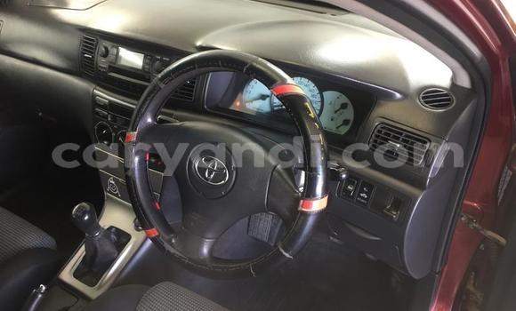 Nunua Ilio tumika Toyota Runx Nyekundu Gari ndani ya Chingola nchini Zambia Nunua Ilio tumika Toyota Runx Nyekundu Gari ndani ya Chingola nchini Zambia