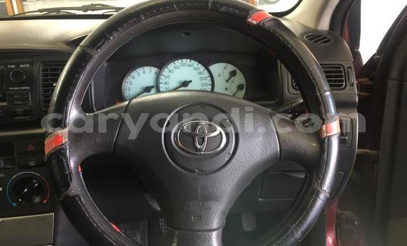 Nunua Ilio tumika Toyota Runx Nyekundu Gari ndani ya Chingola nchini Zambia Nunua Ilio tumika Toyota Runx Nyekundu Gari ndani ya Chingola nchini Zambia