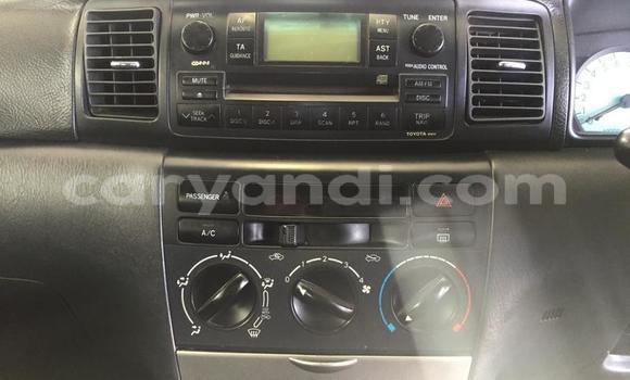 Nunua Ilio tumika Toyota Runx Nyekundu Gari ndani ya Chingola nchini Zambia Nunua Ilio tumika Toyota Runx Nyekundu Gari ndani ya Chingola nchini Zambia