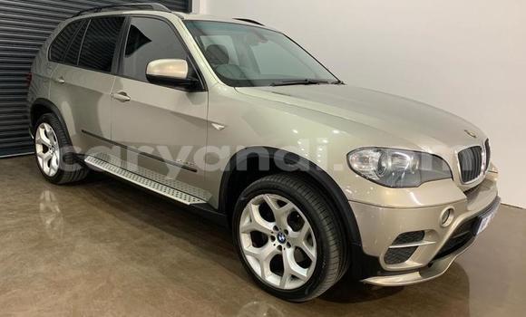 Tenga Tsaru BMW X5 Zvimwe Mota in Lusaka in Zambia Tenga Tsaru BMW X5 Zvimwe Mota in Lusaka in Zambia