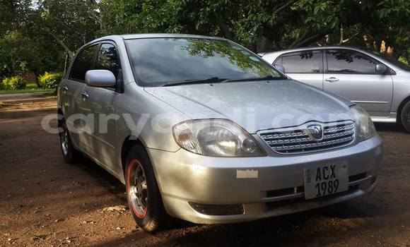 Buy Used Toyota Allex Silver Car in Chipata in Zambia Buy Used Toyota Allex Silver Car in Chipata in Zambia