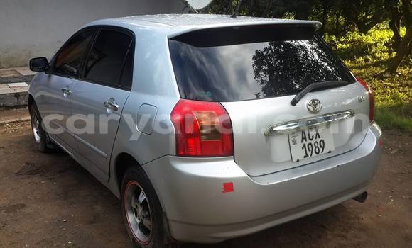 Buy Used Toyota Allex Silver Car in Chipata in Zambia Buy Used Toyota Allex Silver Car in Chipata in Zambia
