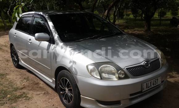 Buy Used Toyota Runx Silver Car in Chipata in Zambia Buy Used Toyota Runx Silver Car in Chipata in Zambia