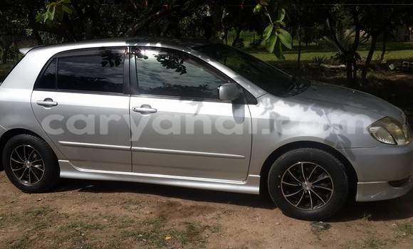 Buy Used Toyota Runx Silver Car in Chipata in Zambia Buy Used Toyota Runx Silver Car in Chipata in Zambia