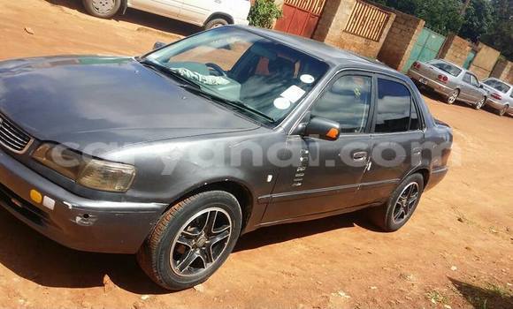 Tenga Tsaru Toyota Corolla Nhema Mota in Chipata in Zambia Tenga Tsaru Toyota Corolla Nhema Mota in Chipata in Zambia