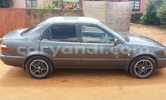 Tenga Tsaru Toyota Corolla Nhema Mota in Chipata in Zambia Tenga Tsaru Toyota Corolla Nhema Mota in Chipata in Zambia