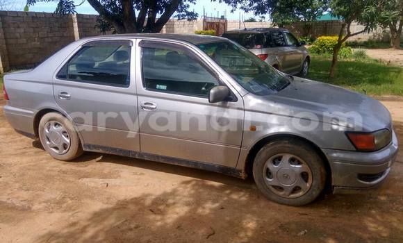Tenga Tsaru Toyota Vista Sirivha Mota in Chipata in Zambia Tenga Tsaru Toyota Vista Sirivha Mota in Chipata in Zambia