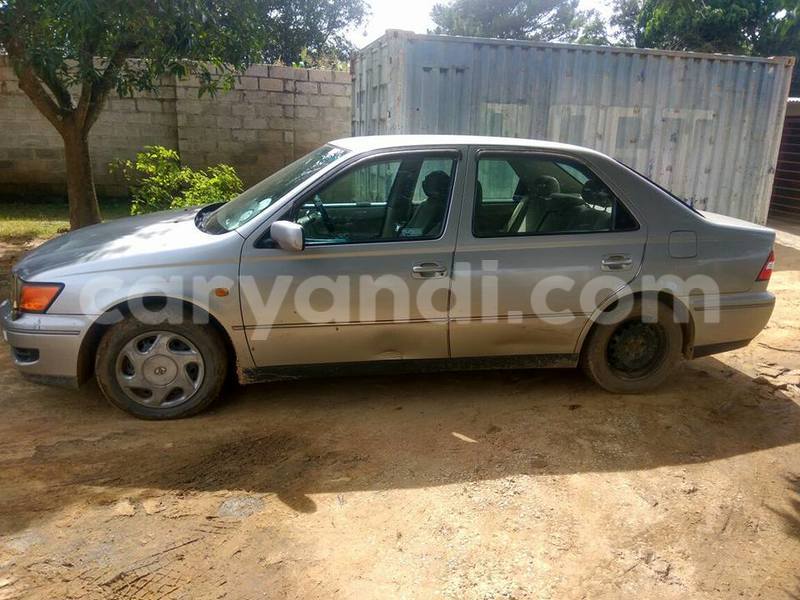 Big with watermark 16298494 1556577997703333 5880869471342312895 n