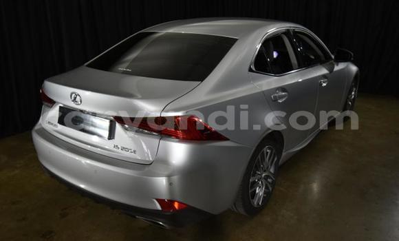 Buy Used Lexus IS Silver Car in Kabwe in Zambia Buy Used Lexus IS Silver Car in Kabwe in Zambia