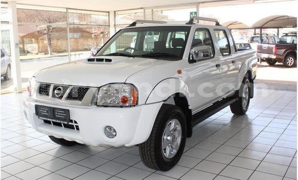 Acheter Occasion Voiture Nissan NP 300 Blanc à Kabwe, Zambie Acheter Occasion Voiture Nissan NP 300 Blanc à Kabwe, Zambie