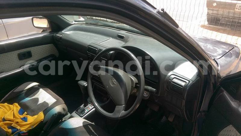 Big with watermark 16299227 1284429018289475 5943388659634541262 n