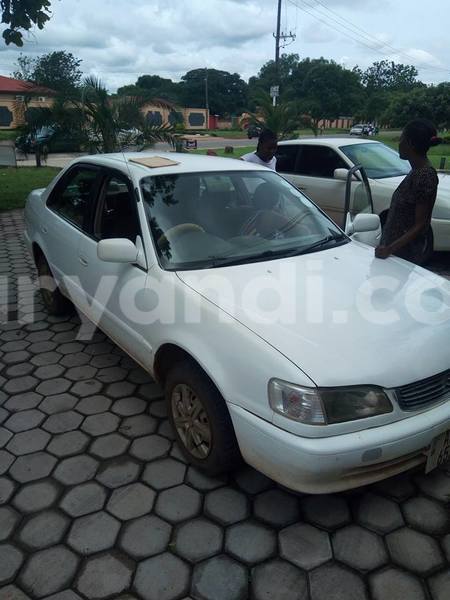 Big with watermark 15995194 1275714392474805 4908956115904413786 o