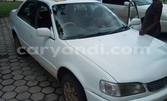 Nunua Ilio tumika Toyota Corolla Nyeupe Gari ndani ya Chipata nchini Zambia Nunua Ilio tumika Toyota Corolla Nyeupe Gari ndani ya Chipata nchini Zambia