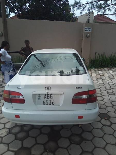 Big with watermark 16265183 1284429024956141 5754992797401084802 n