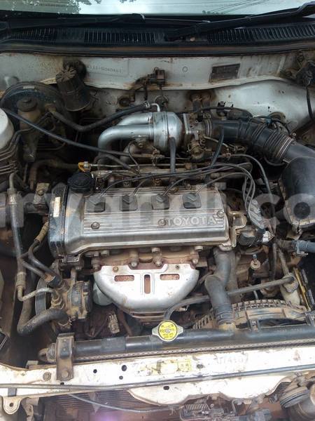 Big with watermark 16298494 1556577997703333 5880869471342312895 n