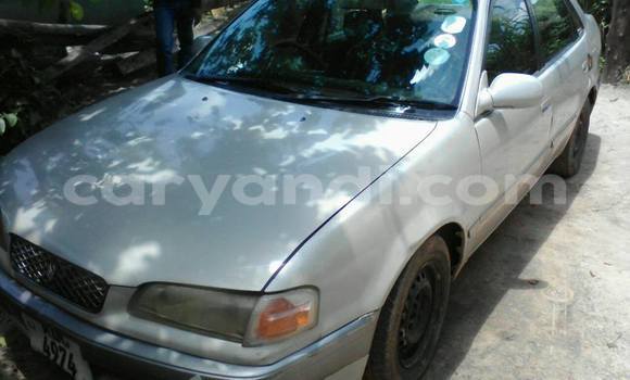 Nunua Ilio tumika Toyota Corolla Fedha Gari ndani ya Chipata nchini Zambia Nunua Ilio tumika Toyota Corolla Fedha Gari ndani ya Chipata nchini Zambia
