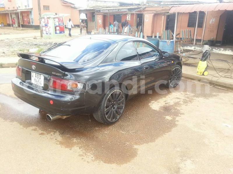 Big with watermark 16298494 1556577997703333 5880869471342312895 n