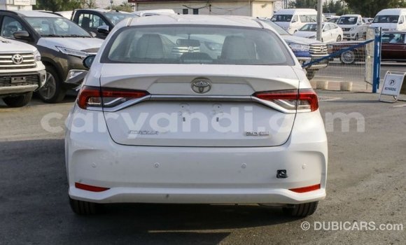 Acheter Import Voiture Toyota Corolla Blanc à Import - Dubai, Zambie Acheter Import Voiture Toyota Corolla Blanc à Import - Dubai, Zambie