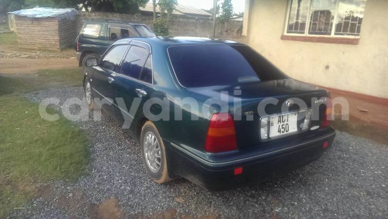 Big with watermark 16684261 1284056601632011 8943575257685139748 n