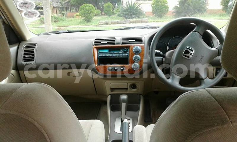 Big with watermark 16684261 1284056601632011 8943575257685139748 n