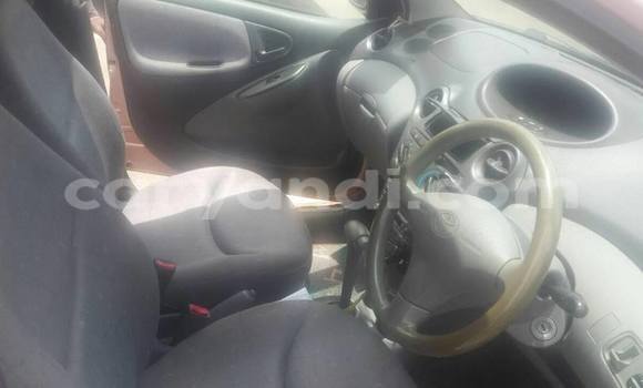 Buy Used Toyota Vitz Black Car in Chipata in Zambia Buy Used Toyota Vitz Black Car in Chipata in Zambia