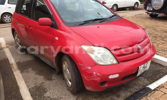 Buy Used Toyota IST Red Car in Chipata in Zambia Buy Used Toyota IST Red Car in Chipata in Zambia
