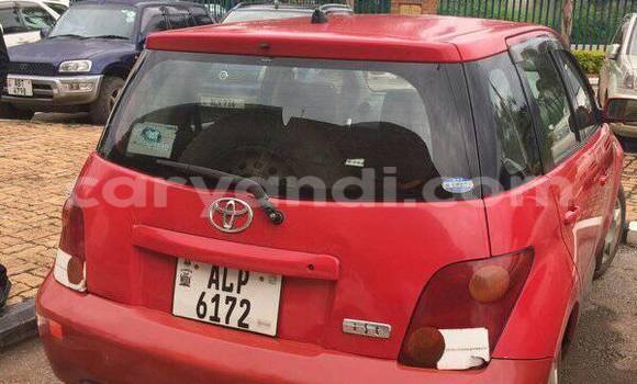 Buy Used Toyota IST Red Car in Chipata in Zambia Buy Used Toyota IST Red Car in Chipata in Zambia