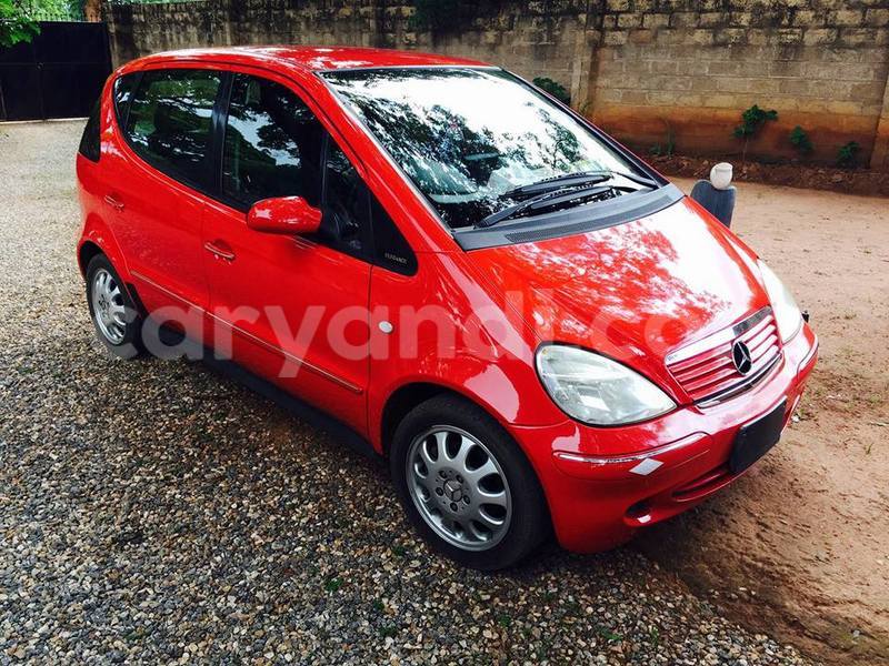 Big with watermark 16508402 687996474706900 565176718935992998 n