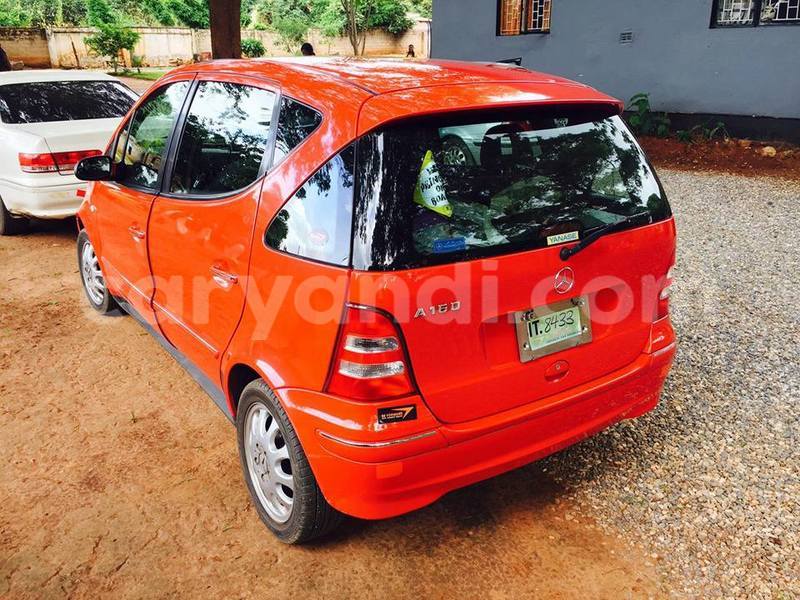 Big with watermark 17191162 1262958793790421 3182052266368934448 n