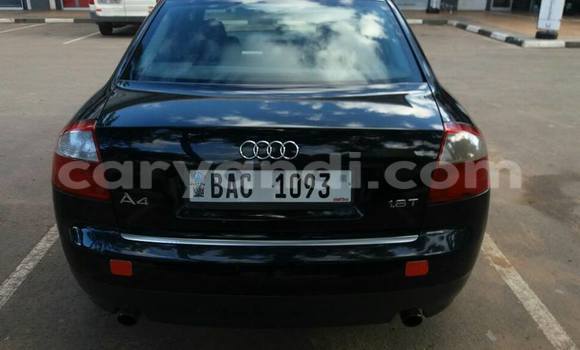 Buy Used Audi A4 Black Car in Chipata in Zambia