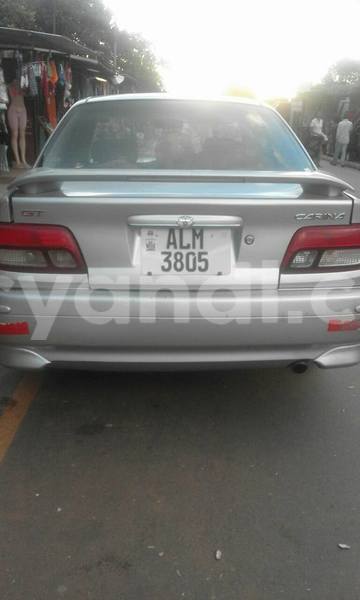 Big with watermark 17523458 1009383672496545 5076937613335271991 n